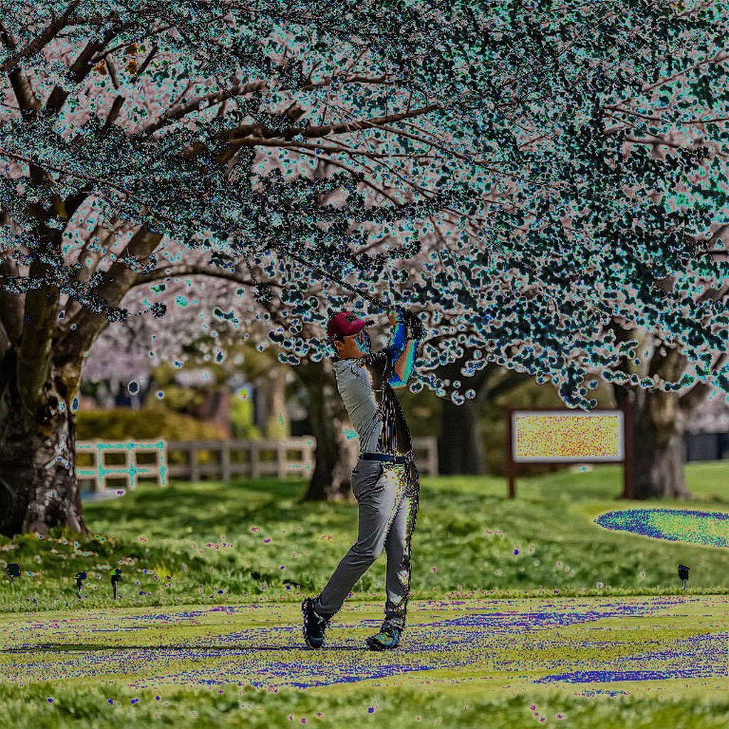 Golf Việt Nam 2026: Từ sân tập đến đấu trường quốc tế – Hành trình không có lối tắt